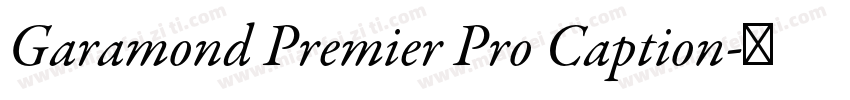 Garamond Premier Pro Caption字体转换